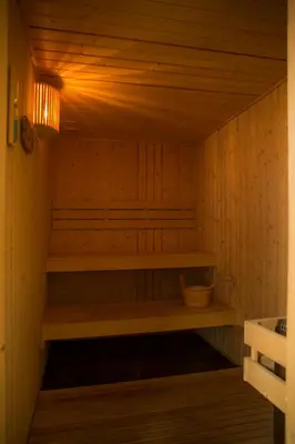 a sauna with shelves and a light on the ceiling at Hotel Mira Sagres in Vila do Bispo