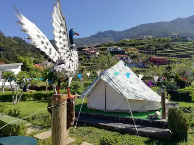 a peacock standing next to a tent at Granny's farm in São Vicente