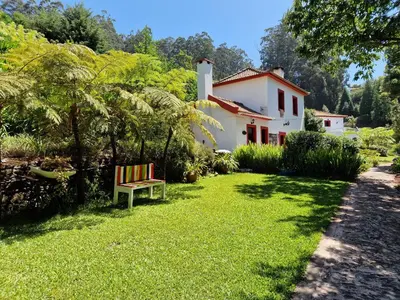 a bench sitting in the grass in front of a house at Cantinho Rural in Camacha