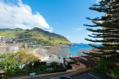a view of a city and the ocean with a tree at Residencial Familia in Machico