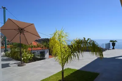 a patio with an umbrella and a palm tree at Casa do Lado in Ponta do Sol