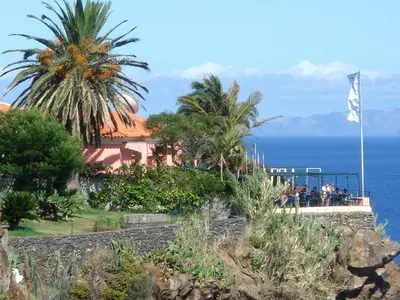 a view of the ocean from a resort with palm trees at Inn & Art Madeira in Caniço