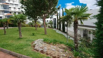 a garden with palm trees next to a building at Apartamento Doreen in Caniço