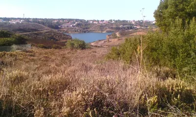 a view of a river from a field of grass at Villa Bartoni in Aljezur