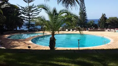 a large swimming pool with a palm tree next to it at Shearwaters - Sounds of the sea in Funchal