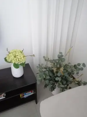 two plants in vases on a table next to a window at Shearwaters - Sounds of the sea in Funchal