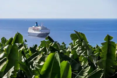 a cruise ship in the ocean with a green plant at Varandas do Funchal I by An Island Apart in Funchal