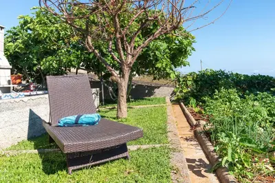 a brown chair sitting in the grass next to a tree at Casa da Mãe do Raivinha in Arco da Calheta