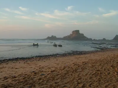 a beach with a group of elephants in the water at Cantinho da Avó in Vila do Bispo