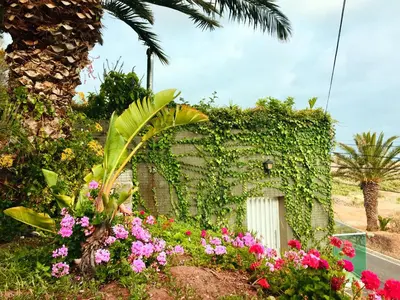 an open door to a patio with a couch at Porto Santo Balcony View House in Porto Santo