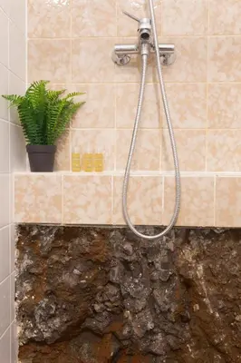 a shower in a bathroom with a plant on a counter at Rochinha Cozy Home in Funchal