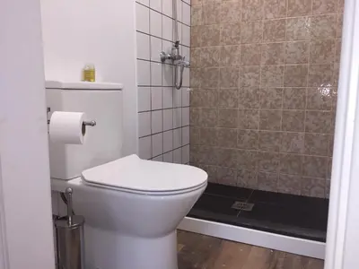 a bathroom with a toilet and a shower at Rochinha Cozy Home in Funchal
