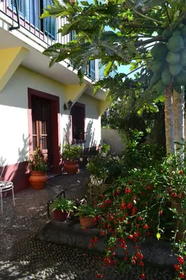 a courtyard of a house with plants and flowers at Bela Vista in Funchal