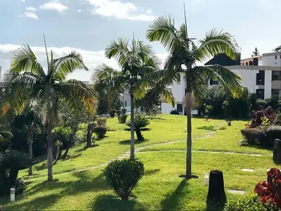a park with palm trees in front of a building at Your Home In Madeira III in Funchal