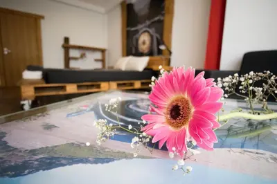 a pink flower sitting on top of a table at Modern & Recycled Guest House in Machico