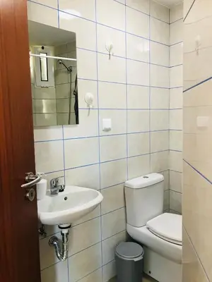 a bathroom with a toilet and a sink at Casa do Lugar da Ribeira in Ribeira Brava
