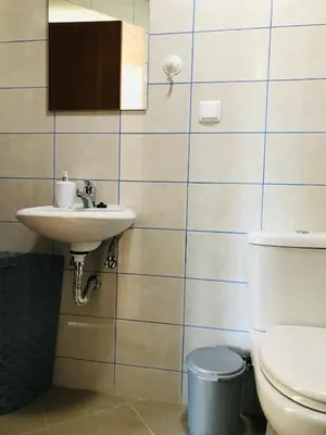 a bathroom with a toilet and a sink at Casa do Lugar da Ribeira in Ribeira Brava
