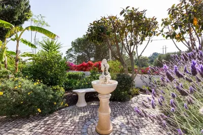 a statue of two birds sitting on a fountain in a garden at CoolHouses Algarve, Casa Redonda, V3 Lagos in Lagos