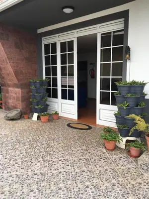 a front door with potted plants on the floor at Casa do Til in Santana