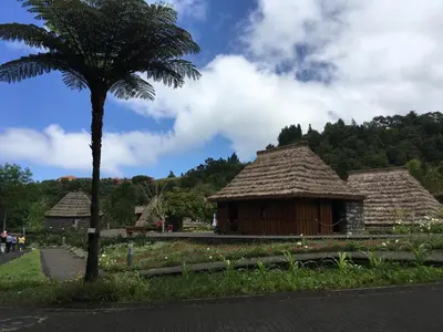 a hut with a palm tree next to a palm tree at Casa do Til in Santana