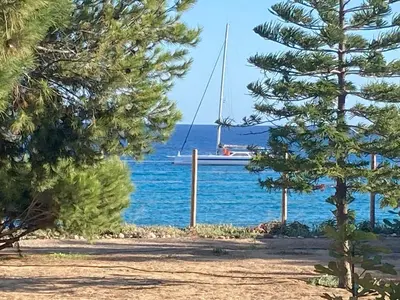 a boat in the water with a tree at Villa Ines, at the beach in Porto Santo