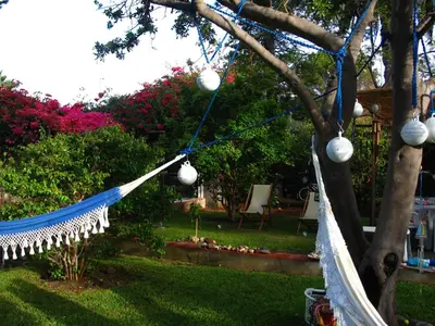 a hammock hanging from a tree in a yard at Villa Ines, at the beach in Porto Santo