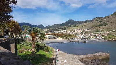 a beach with palm trees and a town next to a body of water at ParadisMare in Machico