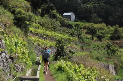 a person walking down a path on a hill at ParadisMare in Machico