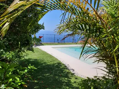 a view of a swimming pool through a palm tree at Casa Velha D Fernando e Casa Avó Augusta in Ribeira Brava