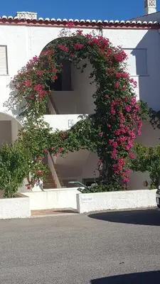 a wreath of flowers on the side of a building at CASA MONACO vue mer in Luz
