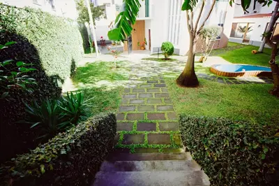 a stone path in a garden with a tree at Vila Luis Mendes in Ribeira Brava