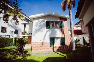 a white building with a palm tree in front of it at Vila Luis Mendes in Ribeira Brava