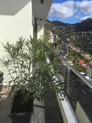 a balcony with two plants on a building at Guesthouse-TheView in Ribeira Brava
