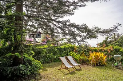 a chair and a sign in a garden at Villa Wisteria in Funchal