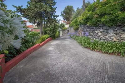a road with a stone wall and purple flowers at Villa Wisteria in Funchal