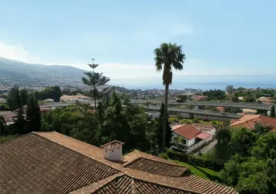 a view of a city with a palm tree and buildings at Villa Wisteria in Funchal
