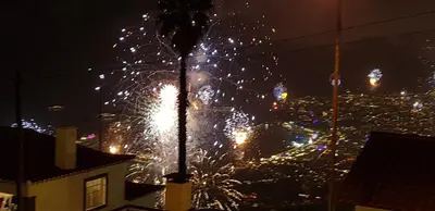 a palm tree with fireworks in a city at night at A Slice of Paradise - Palheiro Golf in Funchal