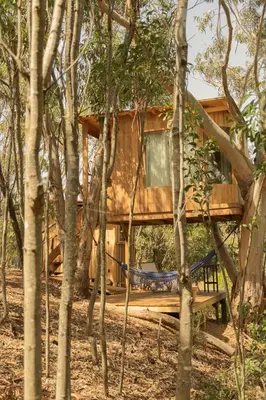 a tree house with a swing in the woods at Soul Farm Algarve - Glamping & Farm Houses in Aljezur