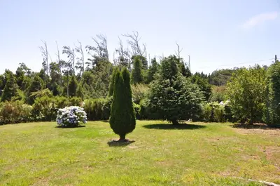 a garden with a tree in the middle of a field at Luxury VILLA CAMÉLIA. Mountains, golf, horses, levada walks. in Santo da Serra