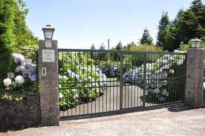 a gate with a bunch of flowers behind it at Luxury VILLA CAMÉLIA. Mountains, golf, horses, levada walks. in Santo da Serra