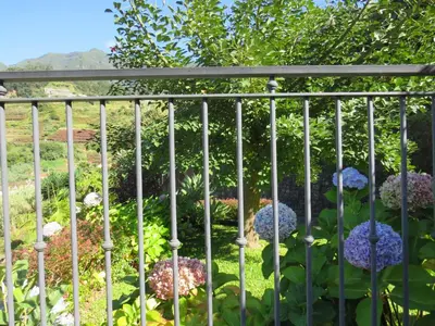 a fence with purple flowers in a garden at Solar do Carvalho in São Vicente