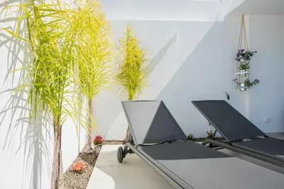 two ping pong tables in a room with plants at Susy’s Garden in Funchal