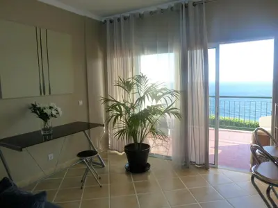 a living room with a plant in front of a sliding glass door at Oceanic Apartment in Caniço