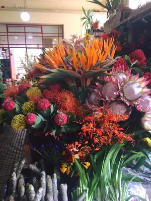 a display of colorful flowers in a store at Top Floor in City Center Funchal in Funchal
