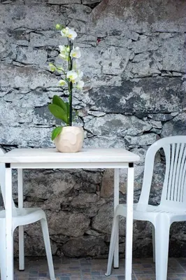 a white table with two chairs and a vase with flowers at Casa Reis in Santana