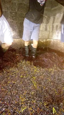a person standing in a puddle of water at Casa reizinho in Santana