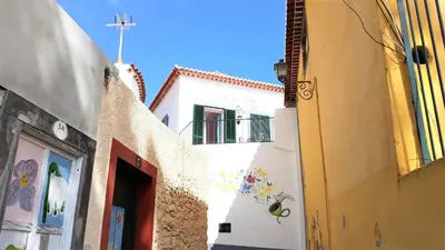 an alley between two buildings with paintings on them at Casa da Avó Irene in Funchal