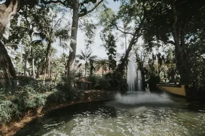 a fountain in a pond in a park with trees at Studio Marina by Madeira Best Apartments in Funchal