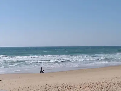 a person walking a dog on the beach at Apartamento Maria in Lagos