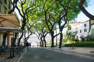 a street with trees and people walking down a sidewalk at Ribeira Funchal Center in Funchal